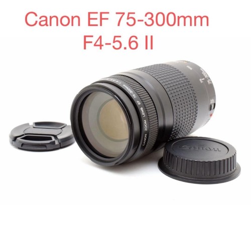 Super telephoto lens canon - telephoto,