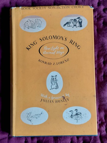 King solomon ring new light - king, ring: