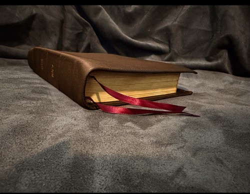 Esv journaling study bible - study,