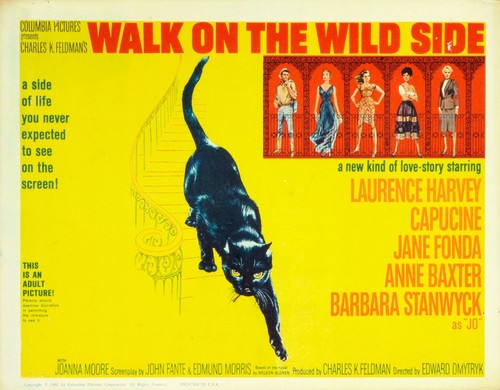 Walk the wild - side, 1962