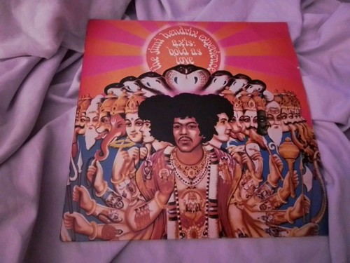 The jimi hendrix - jimi,