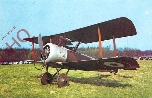 Picture postcard sopwith pup - postcard>,