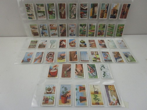 Wills cigarette cards garden - wills,
