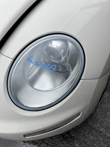 Fits volkswagen new beetle - fits,