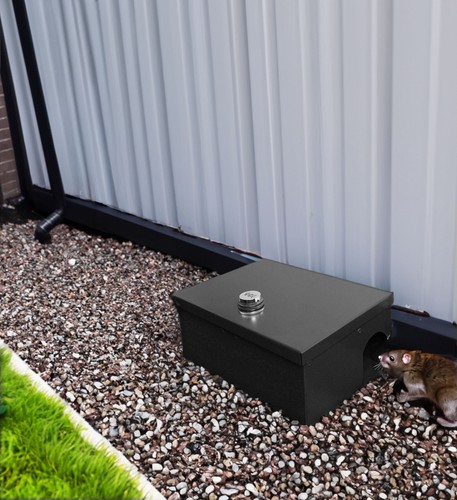 Rodent bait box trap - rodent,