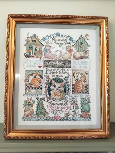 There ordinary cats - no,