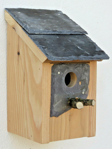 Bird house nesting box - nesting,