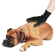 Horse Pet Dog Grooming Gloves