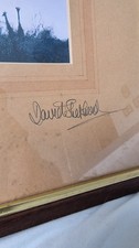 David Shepherd Signed  Edition Print " Giraffe at Dawn" Genuine signature!