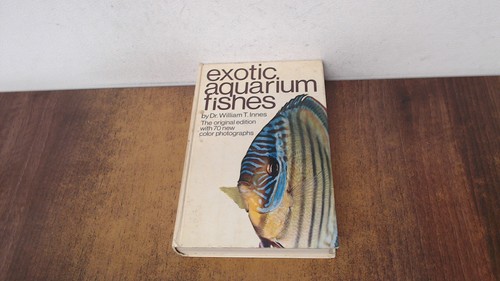 Exotic aquarium fishes - exotic,