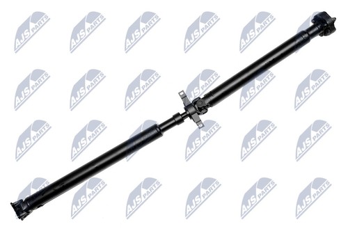 Rear nty nwn - rear, nwn-bm-020