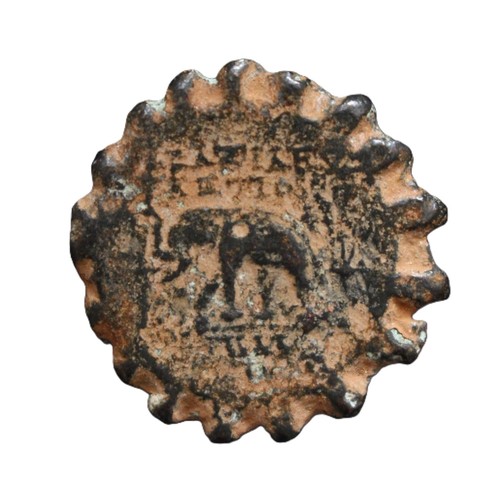 Genuine greek serrate seleucid - greek,