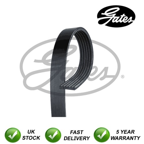 Gates ribbed belts fits audi - fits,