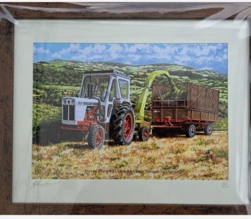 Framed picture print - framed,