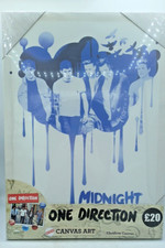 ONE DIRECTION CANVAS 33cm x 46cm. H16 FLOOR