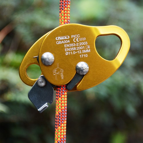 Safety rope grab rock tree - rope,