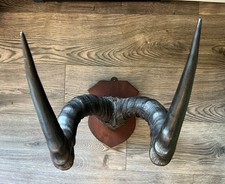 Beautiful Victorian Antique