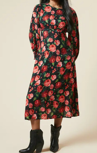 Dorothy perkins black red - dorothy, rose