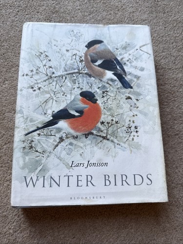 Winter birds lara jonsson dust - lara,