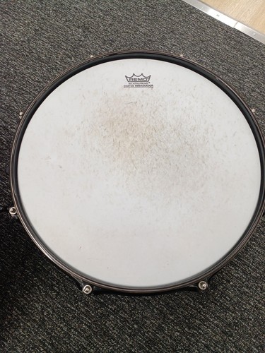 Pearl jj1365 joey - joey, jordison