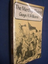 The Merthyr Rising (Croom Helm social history series) - Williams, Gwyn A.