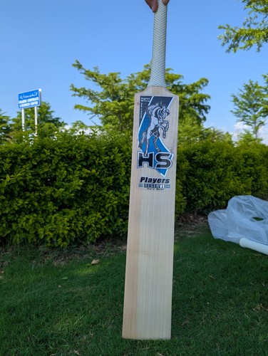 Player reserve cricket bat - hs,
