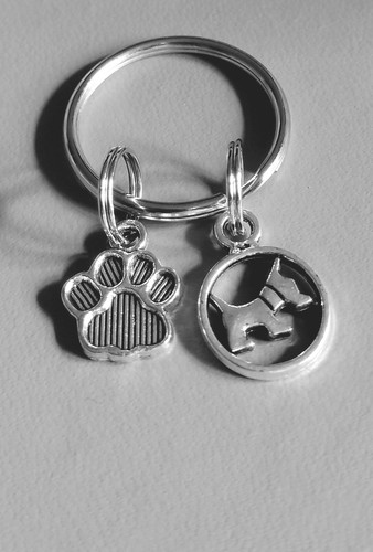 Beautiful dog paw - paw, print'