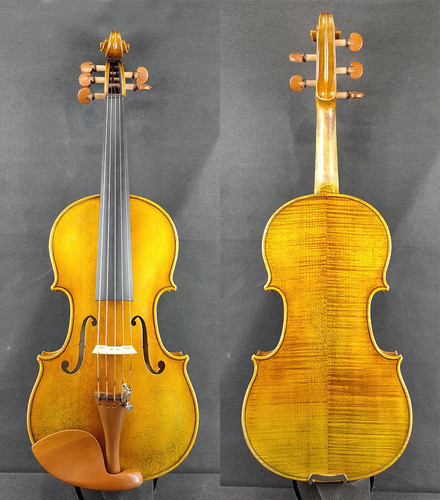 Revolutionary string violin - revolutionary, 5