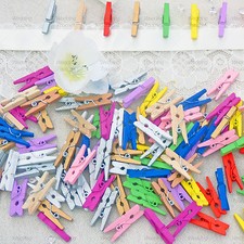 25mm Mini Coloured Wooden Clothes Peg Craft For Vintage Shabby Chic Wedding