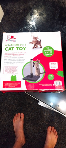 Kittykins interactive cat - interactive,