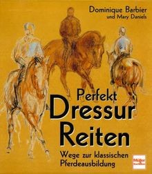 Perfekt dressur reiten wege - perfekt,