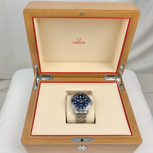 Omega seamaster diver 300m - diver,