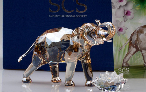 Swarovski crystal cinta - crystal,