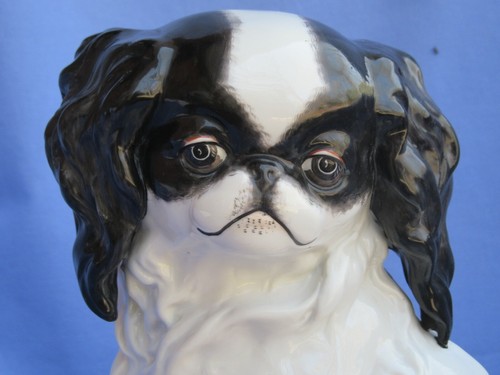 Japanese chin pekingese - japanese,