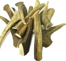ANTLER nova dog chews scottish highland stag horns deer pet long last feed bars