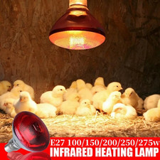 Infrared heat lamp poultry - heat,