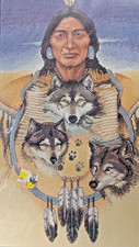 DIMENSIONS 35050 NATIVE WOLF