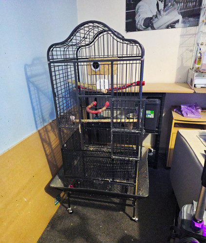 Tall large black metal bird - tall,