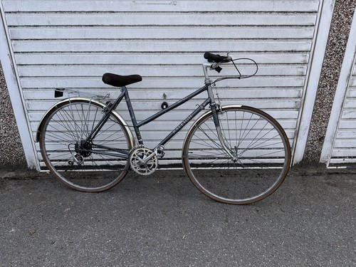 Raleigh royal lady - raleigh,