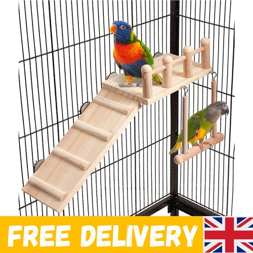Bird perches platform - platform, swing