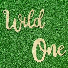  Wild One Gold Glitter