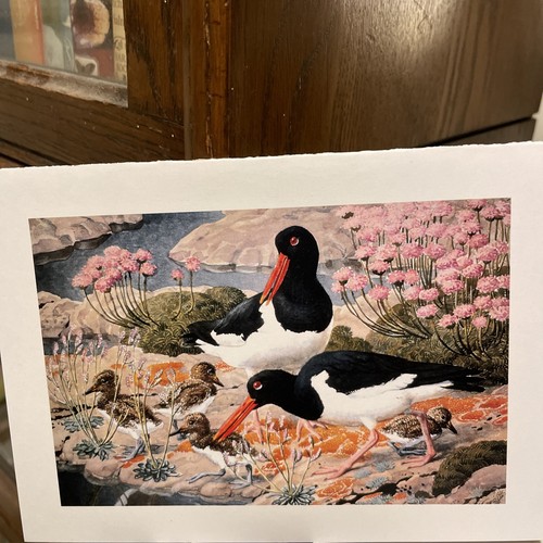 Charles tunnicliffe society - charles,
