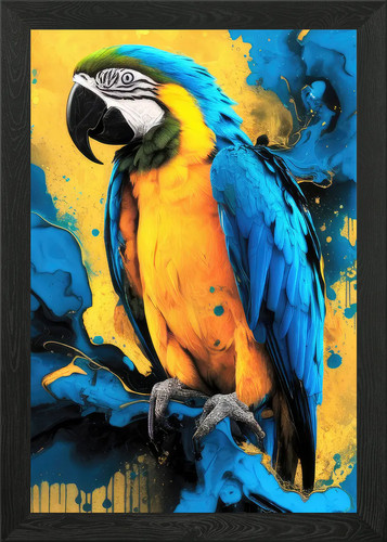 Blue and gold macaw - gold,