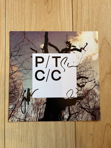 Porcupine tree - porcupine,