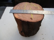 YEW log exotic   hardwoods