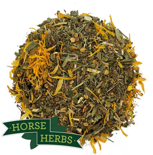 Horse herbs healthy veteran - herbs,