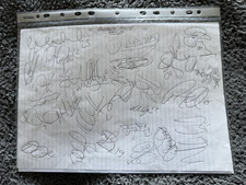 Plymouth Argyle 2007-08 Hand Signed A4 signed in biro