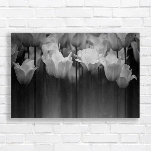 Stunning tulips guide - stunning,