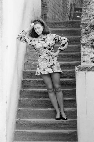 Linda thorson canadian actress - canadian,