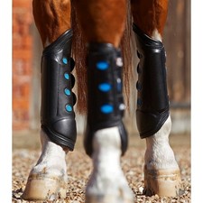 Premier Equine Hind Aircooled